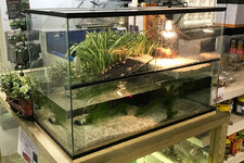 Glazen-waterschildpadden-aquarium-gesloten-3-shop.jpg